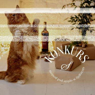 Konkurs tylko dla pełnoletnich 18+