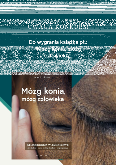 Świąteczno-Noworoczny konkurs Planety Koni