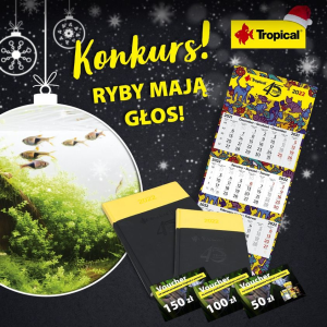 Konkurs "Co powie ryba i skąd nadpływa lalala..."