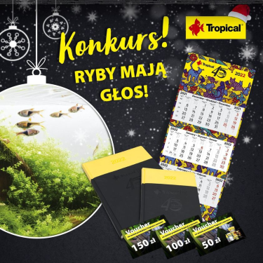 Konkurs "Co powie ryba i skąd nadpływa lalala..."