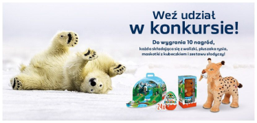 Konkurs "Spędzaj czas z TVN"