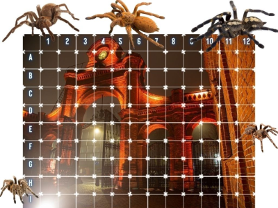 Konkurs "Ustrzel zaproszenia na wystawę Pająków i Skorpionów w Manufakturze" do godz. 14:00