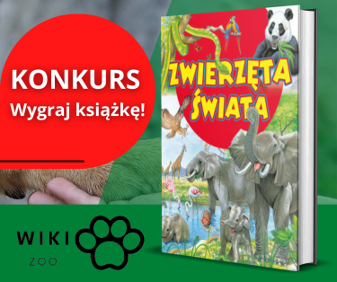 Konkurs "Jak Wasza rodzina spędza czas ze swoimi zwierzętami" do godz. 16:00