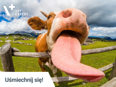 Konkurs "Uśmiechnij się"