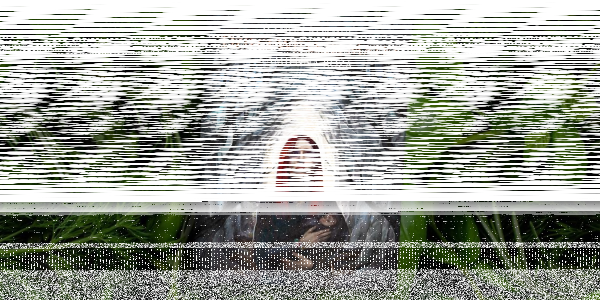 Wygraj audiobook "Kamienna róża" Szymona Adamusa