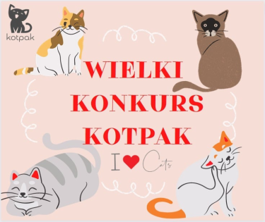 Wygraj drapak dla kota