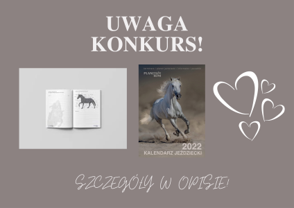 Konkurs "Walentynkowy"