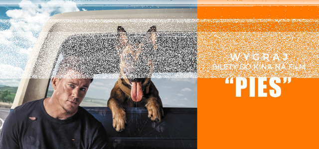 Wygraj bilety do kina na film Pies