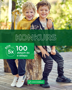 Konkurs "Twój pomysł na karnawał"