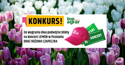 Konkurs z okazji Dnia Kobiet!