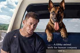 Konkurs "Pies - wygraj gadżety dla swojego pupila"