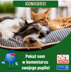 Konkurs "Kocham swojego zwierzaka"
