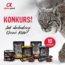 Konkurs "Jak obchodzicie Dzień Kota?"