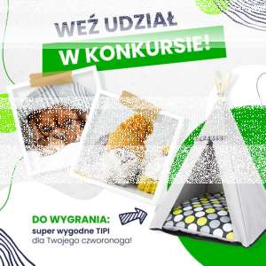 Konkurs "Cześć wiosna! Super, że jesteś" do godz. 14:00