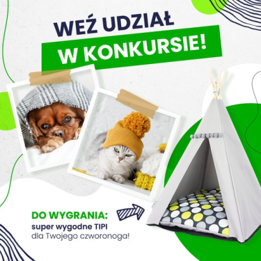 Konkurs "Cześć wiosna! Super, że jesteś" do godz. 14:00