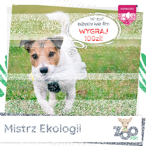 Konkurs "Mistrz Ekologii Zooart"