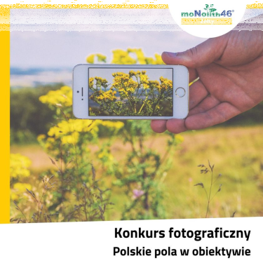Fotograficzny konkurs na lajki