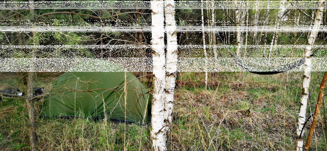 Konkurs "Leśne biwakowanie"