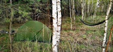 Konkurs "Leśne biwakowanie"