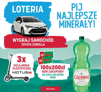 Loteria "Cechini Muszyna" Dino