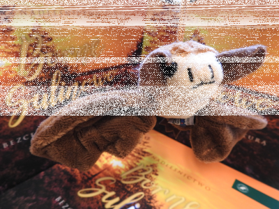 Konkurs "Spotkanie z nietoperzem"