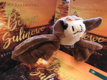 Konkurs "Spotkanie z nietoperzem"