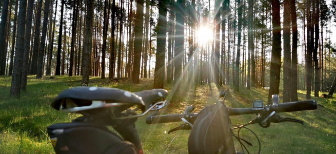 Konkurs "Rowerem przez las!"