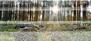 Konkurs "Rowerem przez las!"