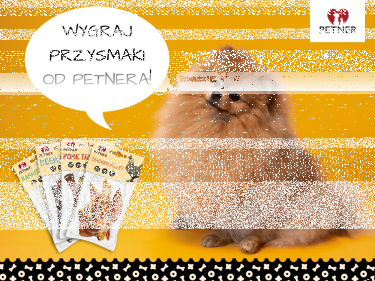 Wygraj przysmaki dla psa
