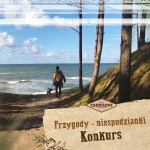Konkurs "Niespodziewane przygody"