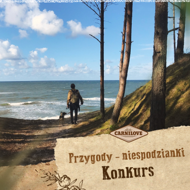 Konkurs "Niespodziewane przygody"