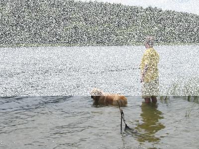 Konkurs "Leśne wędkowanie"