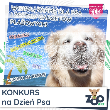 Wygraj z ZooArt karmę dla psa i plażowe gadżety dla siebie