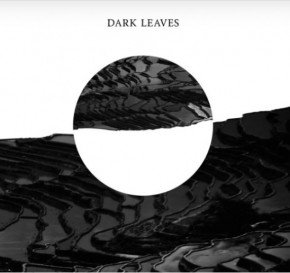 Wygraj najnowszy album Dark Leaves