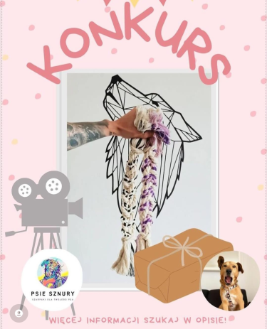 Konkurs od psiaki_z_odzysku