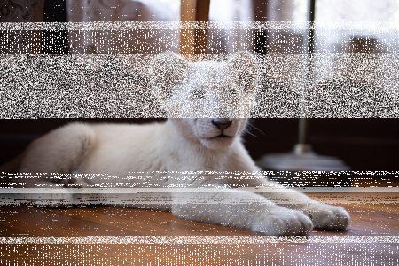 Wygraj zaproszenia do kina na film Lena i Śnieżek