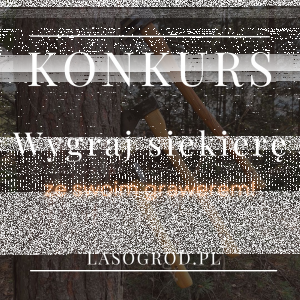 Wygraj siekierę ciesielską ze swoim grawerem! do godz. 12:00