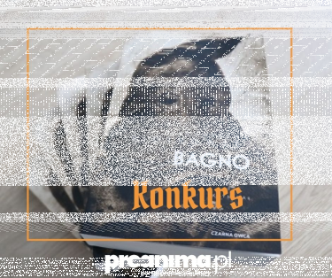 Wygraj książki Przemysława Piotrowskiego z autografem!