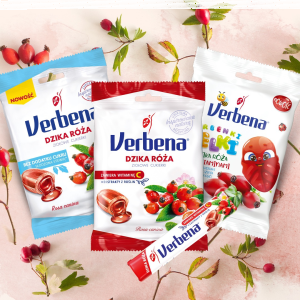 Konkurs "Wiersz z motywem dzikiej róży"