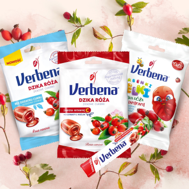 Konkurs "Wiersz z motywem dzikiej róży"