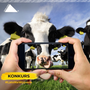 Konkurs "Lato na wypasie"