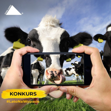 Konkurs "Lato na wypasie"