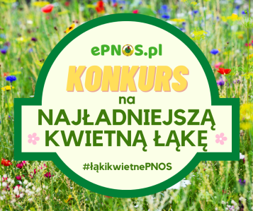 Konkurs fotograficzny "Kwietna Łąka"