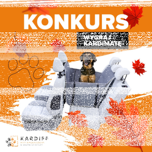 Konkurs "Kardiff - wygraj karimatę"