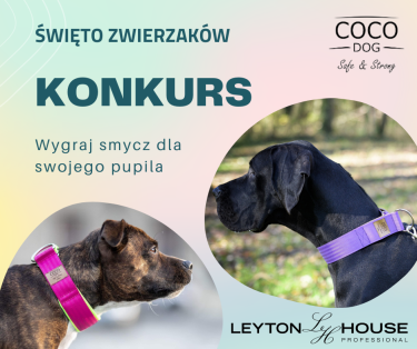 Konkurs fotograficzny "Święto zwierzaków"