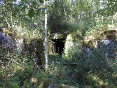 Konkurs fotograficzny "Leśni poszukiwacze historii"