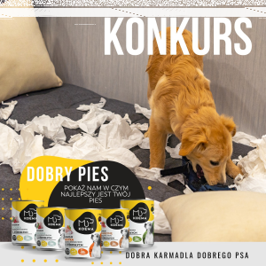 Konkrus "Dobry pies"