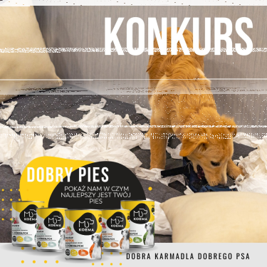 Konkrus "Dobry pies"