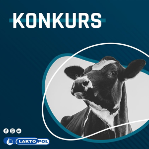 Konkurs fotograficzny "Portret krowy"