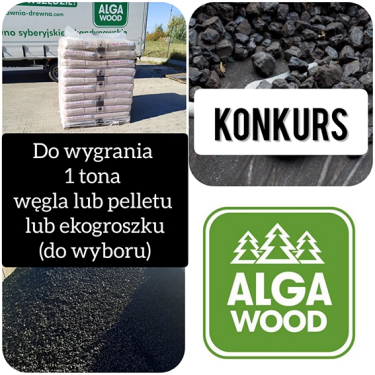 Konkurs "Moje rękodzieło z drewna"